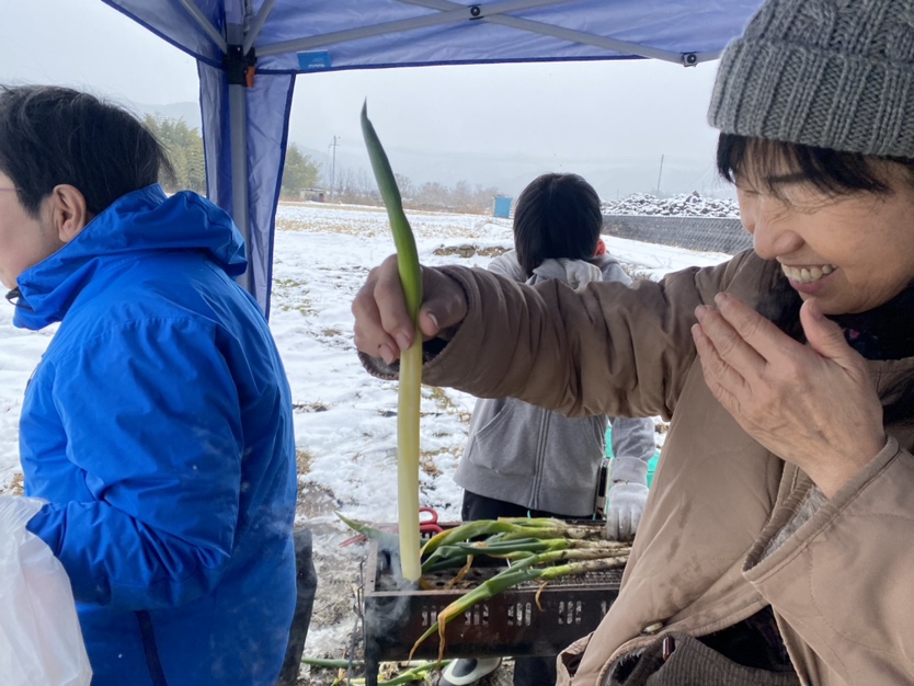 岩津ねぎの畑